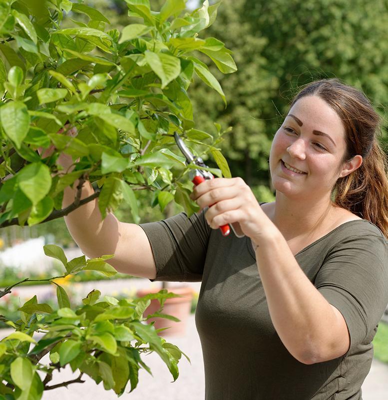Sandra Martin, die Schlossgärtnerin von Weikersheim
