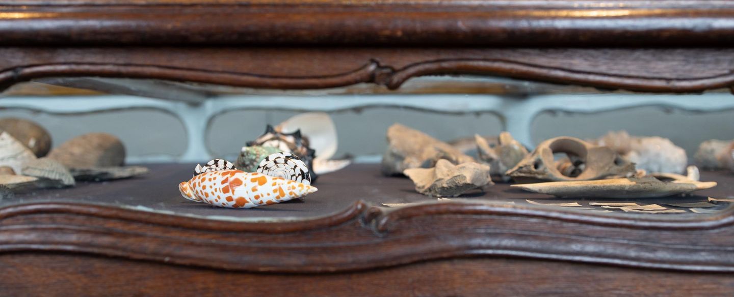 Foto: Staatliche Schlösser und Gärten Baden-Württemberg, Marco Vedana Barockschloss Mannheim, Naturalienkabinett