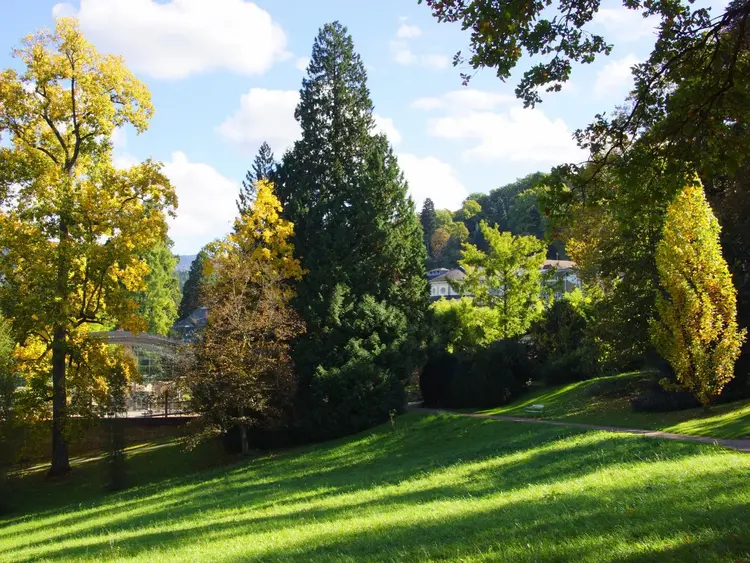 Foto: Badenweiler Tourismus GmbH Kur- und Schlosspark Badenweiler