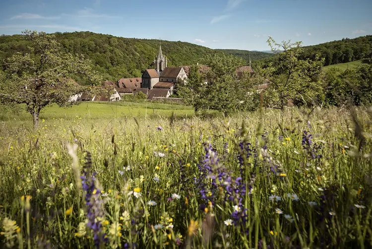 Foto: Staatliche Schlösser und Gärten Baden-Württemberg, Günther Bayerl Kloster und Schloss Bebenhausen, Wiese vor dem Kloster und Schloss